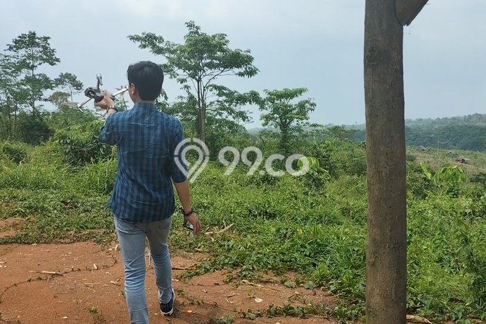 Tanah Dijual Lokasi Rangkasbitung, Lebak Luas 140000m2 Legalitas Aman Tanah Dijual Lokasi Rangkasbitung, Lebak Luas 140000m2 Legalitas Aman