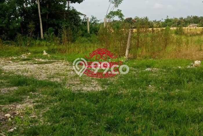 Kavling Tanah untuk Dijual di Beraban, Tabanan, Luas 13000m2 Kavling Tanah untuk Dijual di Beraban, Tabanan, Luas 13000m2