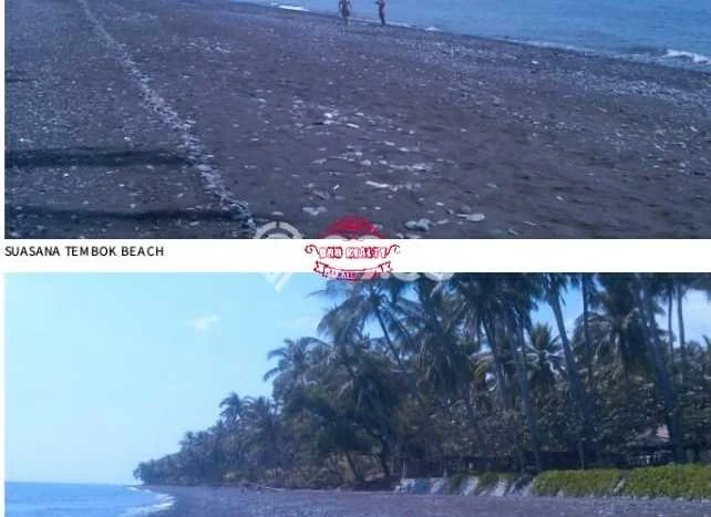 Dijual Tanah Lokasi Tembok, Buleleng Seluas 20000m2 Dijual Tanah Lokasi Tembok, Buleleng Seluas 20000m2