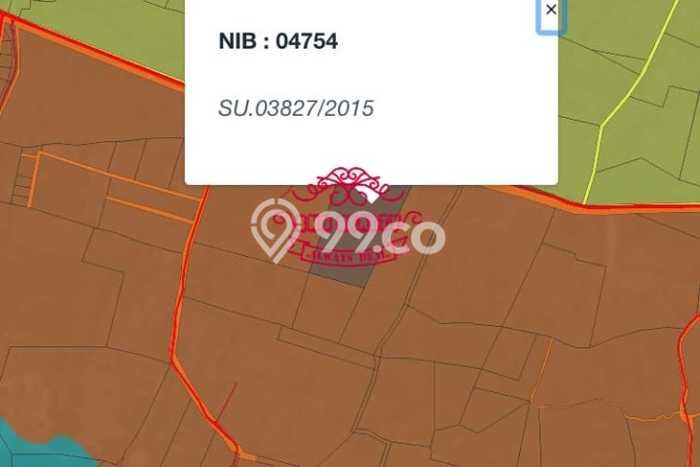 Tanah Dijual di Badung Seluas 2000m2 Strategis Tanah Dijual di Badung Seluas 2000m2 Strategis