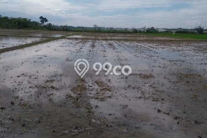 Kavling Tanah Dijual di Telukjambe Timur, Karawang, Luas 4174m2 Area Strategis Kavling Tanah Dijual di Telukjambe Timur, Karawang, Luas 4174m2 Area Strategis