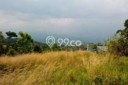 Kavling Tanah di Cijeruk Dijual Luas 2000m2 Legalitas - Kavling Tanah di Cijeruk Dijual Luas 2000m2 Legalitas -