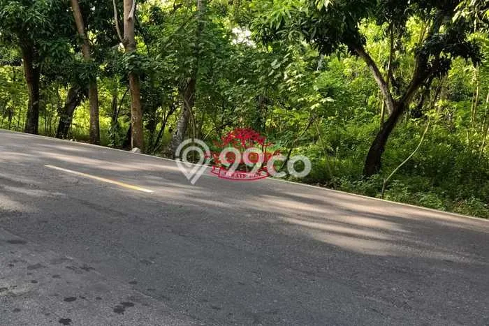 Tanah Dijual Area Strategis di Tembok Buleleng 15000m2 Tanah Dijual Area Strategis di Tembok Buleleng 15000m2