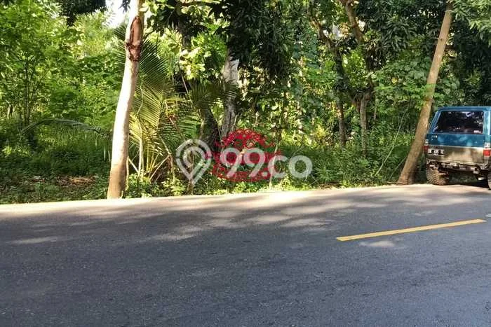 Tanah Dijual Area Strategis di Tembok Buleleng 15000m2 Tanah Dijual Area Strategis di Tembok Buleleng 15000m2
