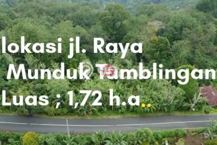 Tanah Dijual Lokasi Strategis di Buleleng dengan Luas 17200m2 Tanah Dijual Lokasi Strategis di Buleleng dengan Luas 17200m2