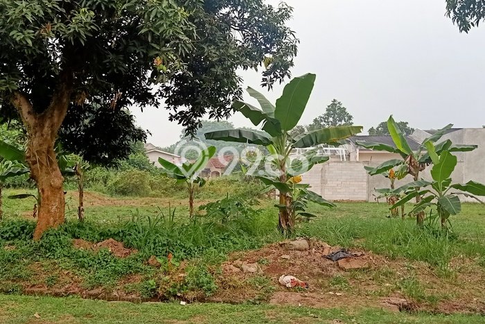 Dijual Tanah di Gunung Sindur Bogor Luas 300m2 SHM Dijual Tanah di Gunung Sindur Bogor Luas 300m2 SHM