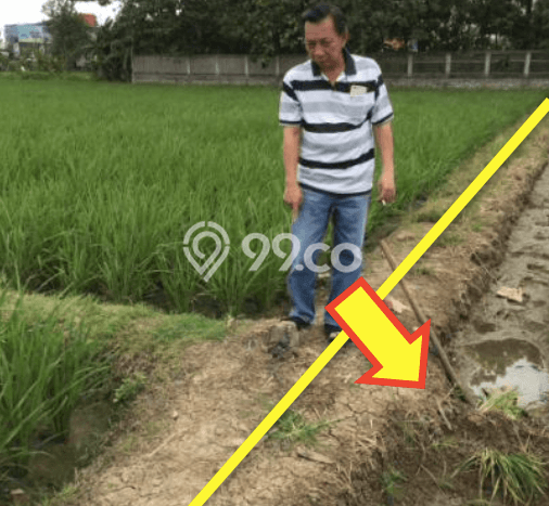 Jarang Ada! Tanah di Karawang Barat Punya Luas 13780m2 - Jarang Ada! Tanah di Karawang Barat Punya Luas 13780m2 -