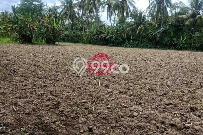 Tanah Dijual Lokasi Strategis di Buleleng dengan Luas 150000m2 Tanah Dijual Lokasi Strategis di Buleleng dengan Luas 150000m2