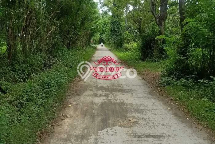 Tanah Dijual Lokasi Strategis di Buleleng dengan Luas 150000m2 Tanah Dijual Lokasi Strategis di Buleleng dengan Luas 150000m2