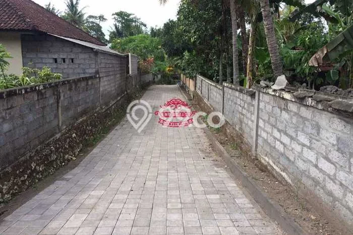Tanah Investasi Dijual di Tabanan Punya Luas 8200m2 Tanah Investasi Dijual di Tabanan Punya Luas 8200m2
