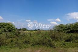Tanah Dijual Area Strategis di Jababeka Bekasi 10395m2 Tanah Dijual Area Strategis di Jababeka Bekasi 10395m2