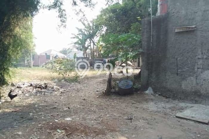 Kavling Tanah di Serpong Dijual Luas 1000m2 Legalitas SHM Kavling Tanah di Serpong Dijual Luas 1000m2 Legalitas SHM