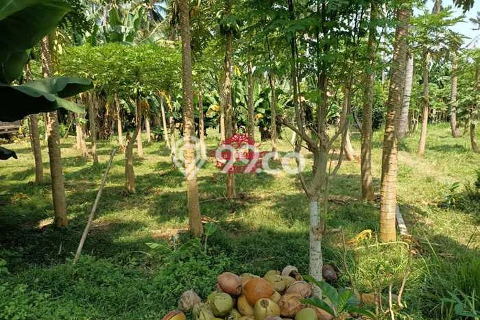 Lahan Dijual Lokasi Strategis di Gianyar dengan Luas 1400m2 Lahan Dijual Lokasi Strategis di Gianyar dengan Luas 1400m2