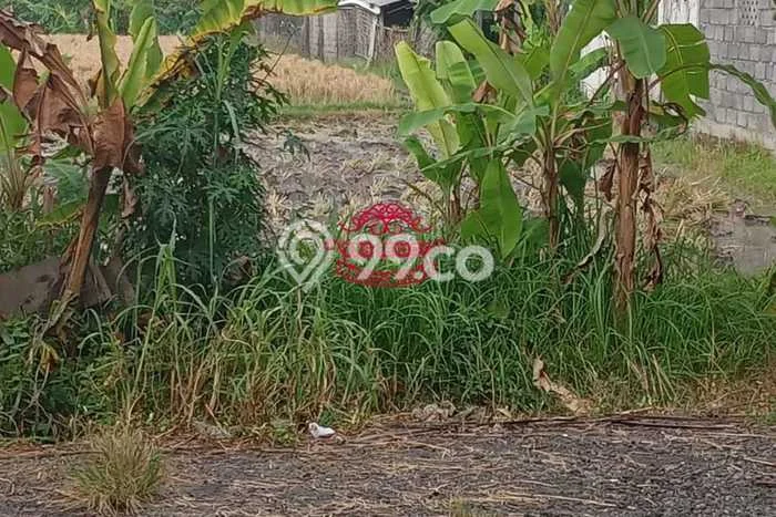 Untuk Dijual Tanah 3900m2 di Saba, Gianyar Untuk Dijual Tanah 3900m2 di Saba, Gianyar