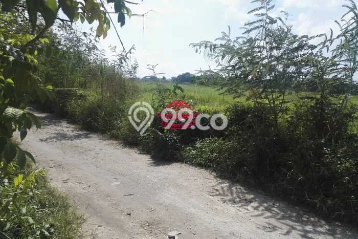Dijual Tanah di Badung, Luas 800m2 SHM Dijual Tanah di Badung, Luas 800m2 SHM