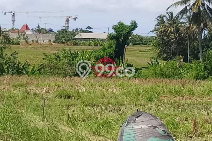 Kavling Tanah untuk Dijual di Pererenan, Badung, Luas 1000m2 Kavling Tanah untuk Dijual di Pererenan, Badung, Luas 1000m2