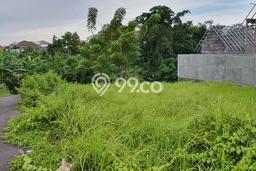 Tanah Area Berkembang Kawasan Canggu, Luas 440m², Lingkungan Nyaman, Akses Canggu, Badung, Badung Tanah Area Berkembang Kawasan Canggu, Luas 440m², Lingkungan Nyaman, Akses Canggu, Badung, Badung