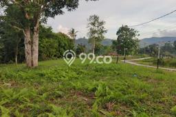 Untuk Dijual Tanah di Teluk Ambon Ambon Luas 3958m2 Lain-lain Untuk Dijual Tanah di Teluk Ambon Ambon Luas 3958m2 Lain-lain