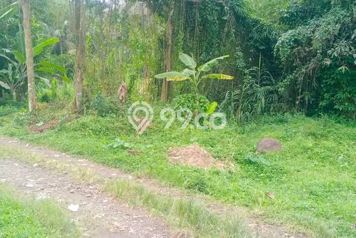 Tanah untuk Dijual Lokasi Ciampea, Bogor Luas 1000m2 Hak Pakai Tanah untuk Dijual Lokasi Ciampea, Bogor Luas 1000m2 Hak Pakai