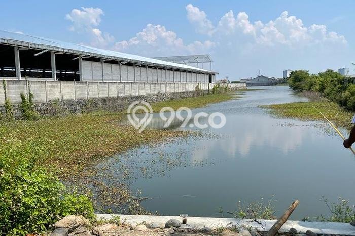 Tanah Strategis Dijual di Sayung Demak 5372m2 Tanah Strategis Dijual di Sayung Demak 5372m2