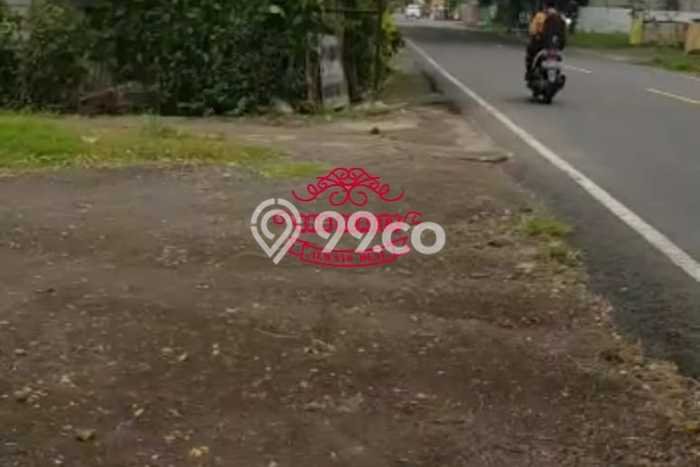 Untuk Dijual Tanah di Buleleng, Luas 5500m2 SHM Untuk Dijual Tanah di Buleleng, Luas 5500m2 SHM