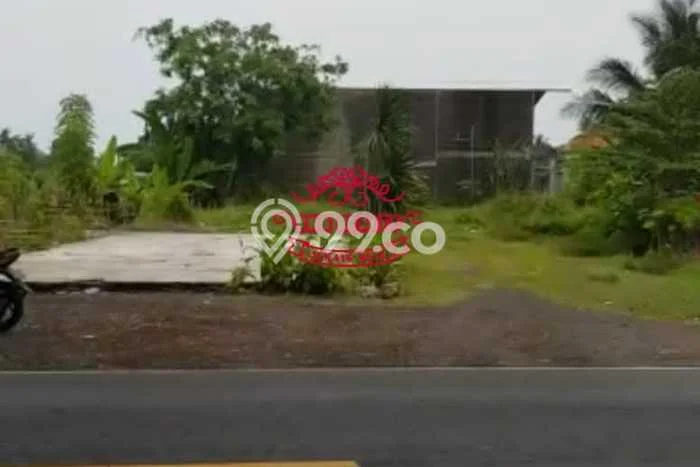 Untuk Dijual Tanah di Buleleng, Luas 5500m2 SHM Untuk Dijual Tanah di Buleleng, Luas 5500m2 SHM