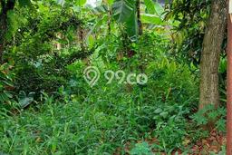 Tanah Kosong Dijual di Bogor dengan Area 230m2 Tanah Kosong Dijual di Bogor dengan Area 230m2