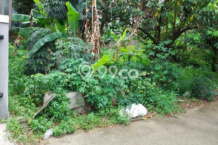 Tanah Kosong Dijual di Bogor dengan Area 230m2 Tanah Kosong Dijual di Bogor dengan Area 230m2