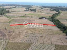 Tanah Disewakan Lokasi Tegalmengkeb Tabanan Luas 3820m2 Tanah Disewakan Lokasi Tegalmengkeb Tabanan Luas 3820m2