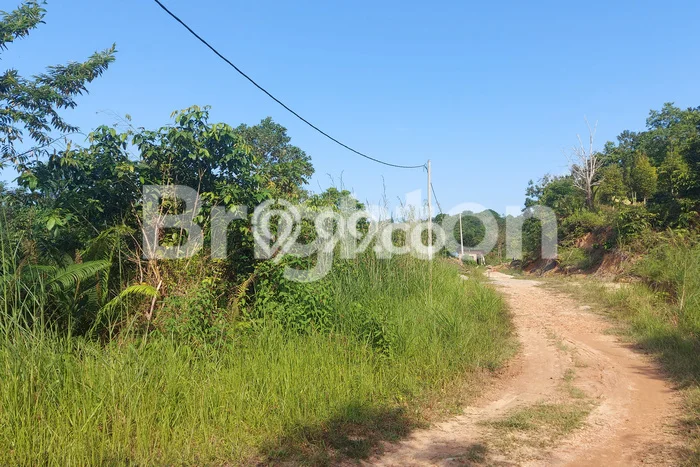 Tanah Dijual Lokasi Strategis di Balikpapan dengan Luas 69000m2 Tanah Dijual Lokasi Strategis di Balikpapan dengan Luas 69000m2