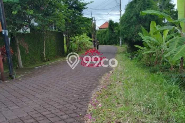 Tanah Siap Bangun Dijual di Badung Punya Luas 5000m2 Tanah Siap Bangun Dijual di Badung Punya Luas 5000m2