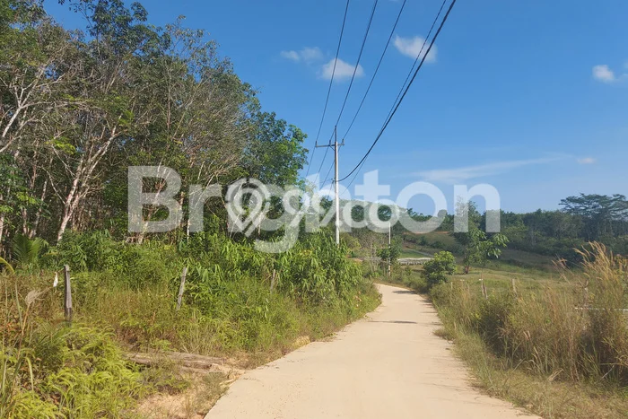 Tanah di Balikpapan Timur, Balikpapan Luas 250000m2 Dijual Segera Tanah di Balikpapan Timur, Balikpapan Luas 250000m2 Dijual Segera
