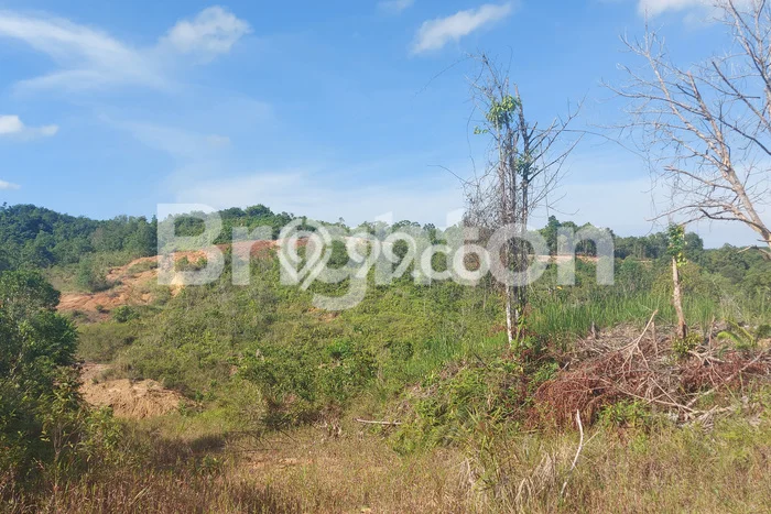 Tanah di Balikpapan Timur, Balikpapan Luas 250000m2 Dijual Segera Tanah di Balikpapan Timur, Balikpapan Luas 250000m2 Dijual Segera