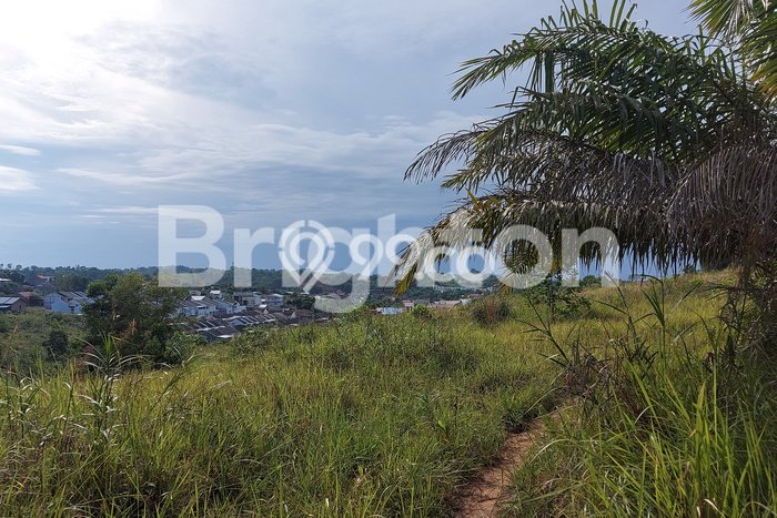 Kavling Tanah untuk Dijual di Sepinggan, Balikpapan, Luas 6470m2 Kavling Tanah untuk Dijual di Sepinggan, Balikpapan, Luas 6470m2
