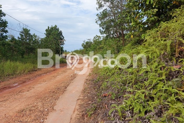 Tanah Dijual di Balikpapan Seluas 16150m2 Strategis Tanah Dijual di Balikpapan Seluas 16150m2 Strategis