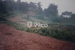 Kavling Tanah di Cariu Dijual Luas 12000m2 Legalitas SHM Kavling Tanah di Cariu Dijual Luas 12000m2 Legalitas SHM