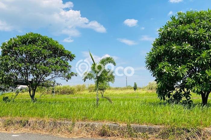 Tanah Dijual Lokasi Karawang Timur, Karawang Luas 35000m2 Legalitas Aman Tanah Dijual Lokasi Karawang Timur, Karawang Luas 35000m2 Legalitas Aman