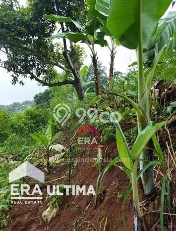 Tanah untuk Dijual di Coblong Bandung Luas 1350m2 Tanah untuk Dijual di Coblong Bandung Luas 1350m2