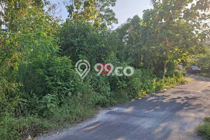 Tanah Dijual di Badung Seluas 3100m2 Strategis Tanah Dijual di Badung Seluas 3100m2 Strategis