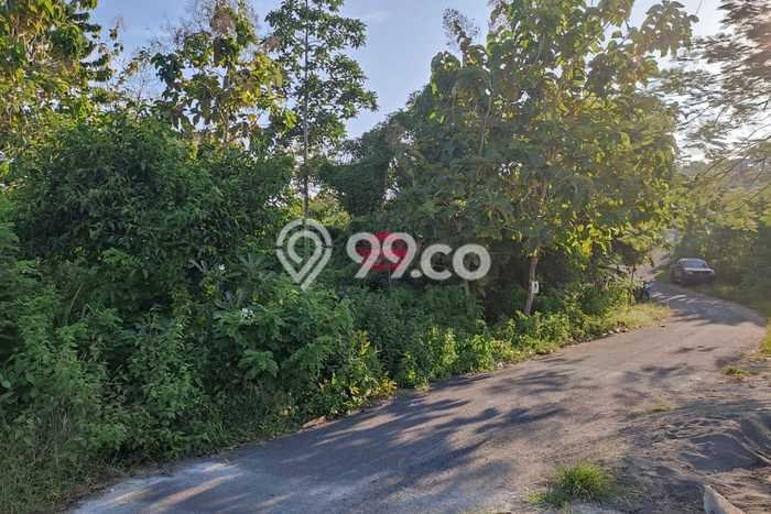 Tanah Dijual di Badung Seluas 3100m2 Strategis Tanah Dijual di Badung Seluas 3100m2 Strategis