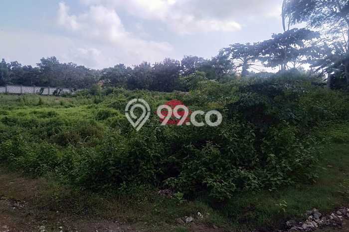 Kavling Tanah untuk Dijual di Pecatu, Badung, Luas 5000m2 Kavling Tanah untuk Dijual di Pecatu, Badung, Luas 5000m2