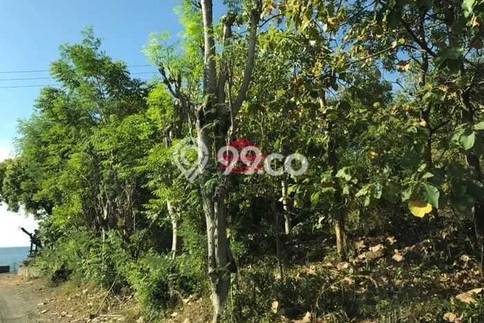Tanah Dijual di Buleleng Seluas 13250m2 Strategis Tanah Dijual di Buleleng Seluas 13250m2 Strategis