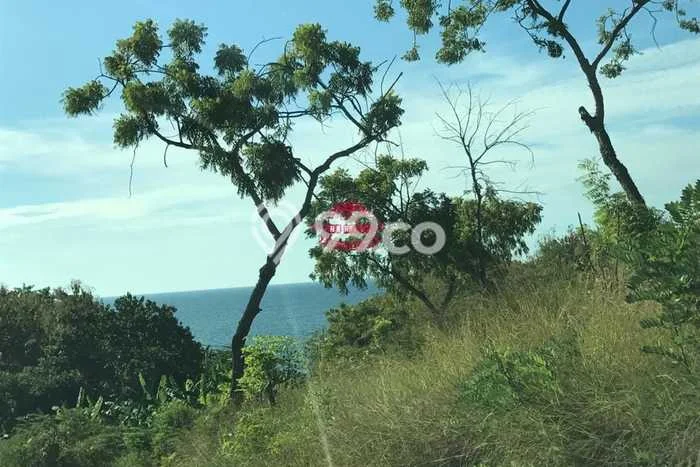 Tanah Dijual di Buleleng Seluas 13250m2 Strategis Tanah Dijual di Buleleng Seluas 13250m2 Strategis
