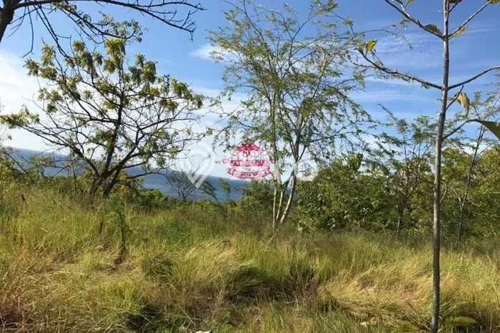 Tanah Dijual di Buleleng Seluas 13250m2 Strategis Tanah Dijual di Buleleng Seluas 13250m2 Strategis