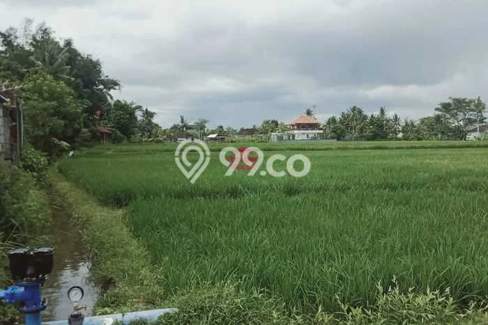 Untuk Dijual Tanah 6500m2 di Kaba kaba, Tabanan Untuk Dijual Tanah 6500m2 di Kaba kaba, Tabanan