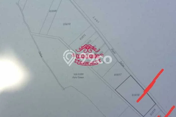 Dijual Tanah di Buleleng, Luas 8800m2 SHM Dijual Tanah di Buleleng, Luas 8800m2 SHM