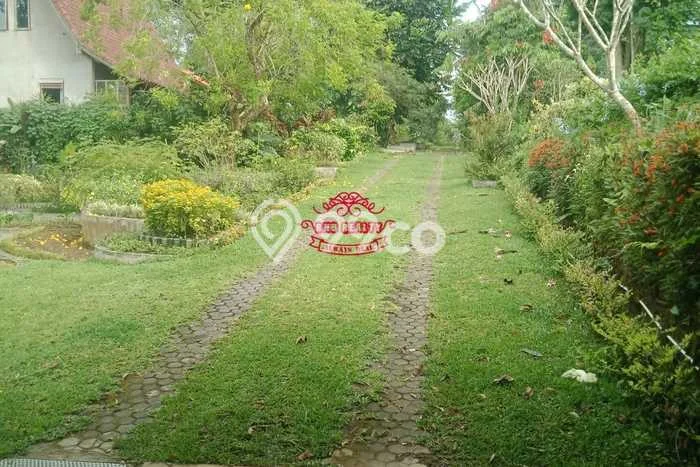 Tanah untuk Dijual Lokasi Tegallalang, Gianyar Luas 20000m2 SHM Tanah untuk Dijual Lokasi Tegallalang, Gianyar Luas 20000m2 SHM
