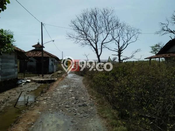 Tanah Kavling di Patebon Dijual dengan Luas 1m2 Tanah Kavling di Patebon Dijual dengan Luas 1m2