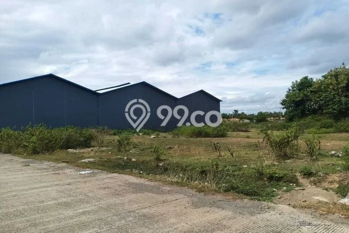 Tanah Kavling di Marusu Dijual dengan Luas 5000m2 Tanah Kavling di Marusu Dijual dengan Luas 5000m2