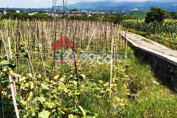 Lahan Investasi Lokasi Junrejo Batu SHM Lahan Investasi Lokasi Junrejo Batu SHM